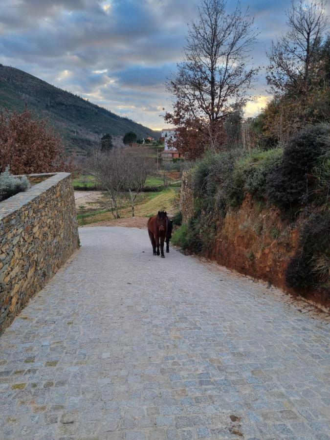 Landhuis Quinta Levadas - & Nature Alvoco das Várzeas