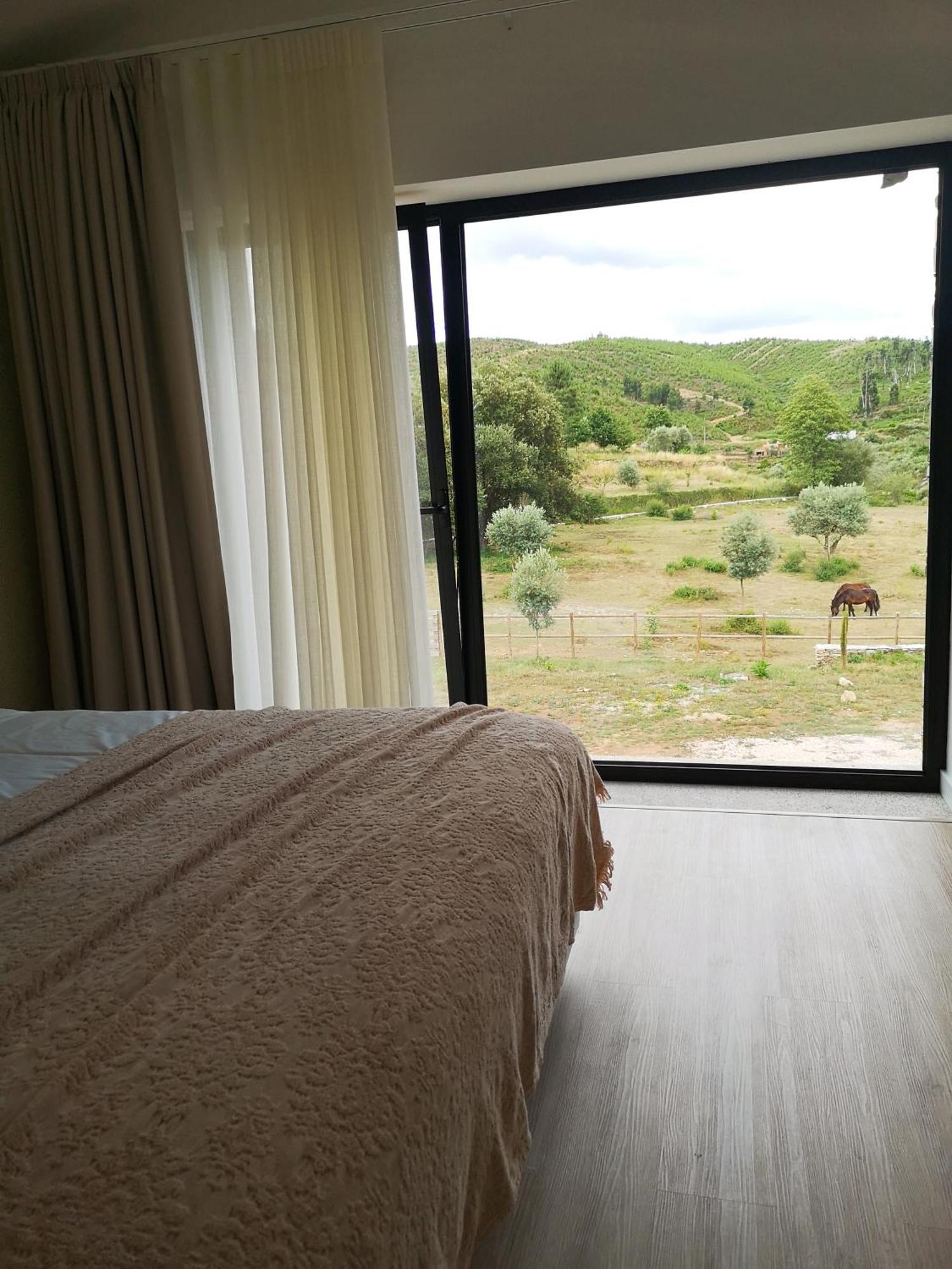 Country house Quinta Levadas - & Nature *