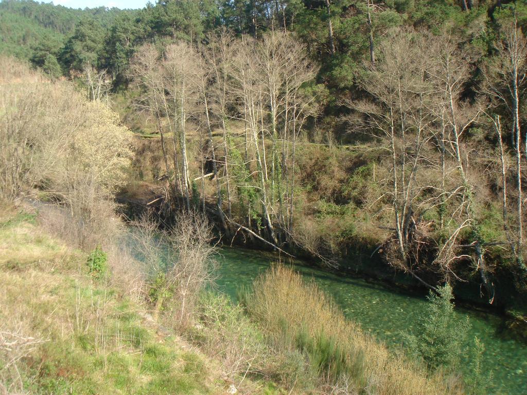 Quinta Levadas - & Nature Landhuis *