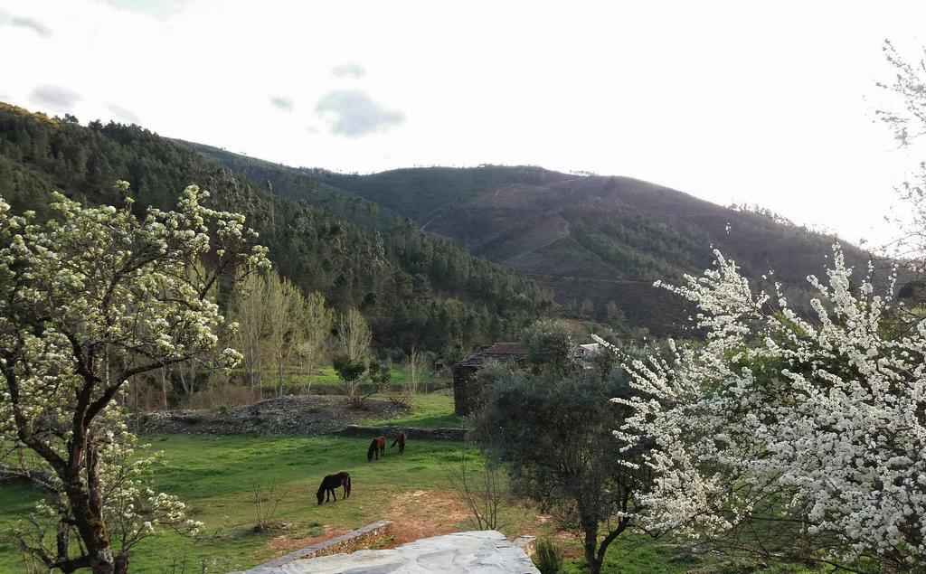 Quinta Levadas - & Nature Alvoco das Varzeas